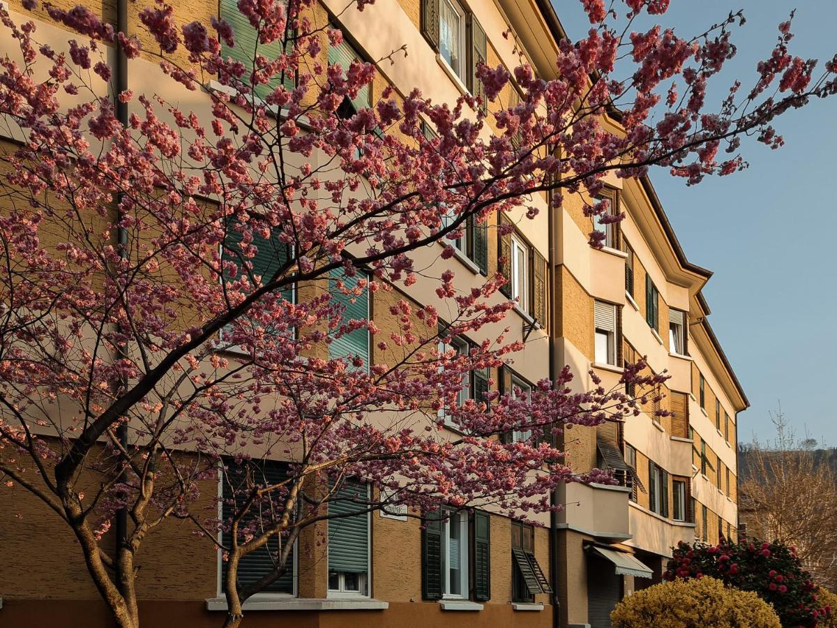 Central Suite Meran Exterior photo